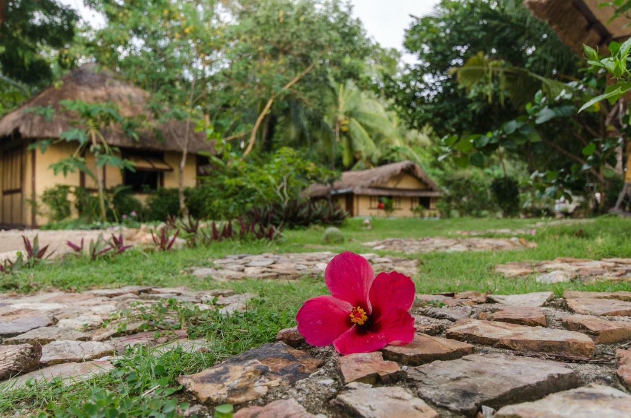 Concepcion Divers Lodge Busuanga Esterno foto