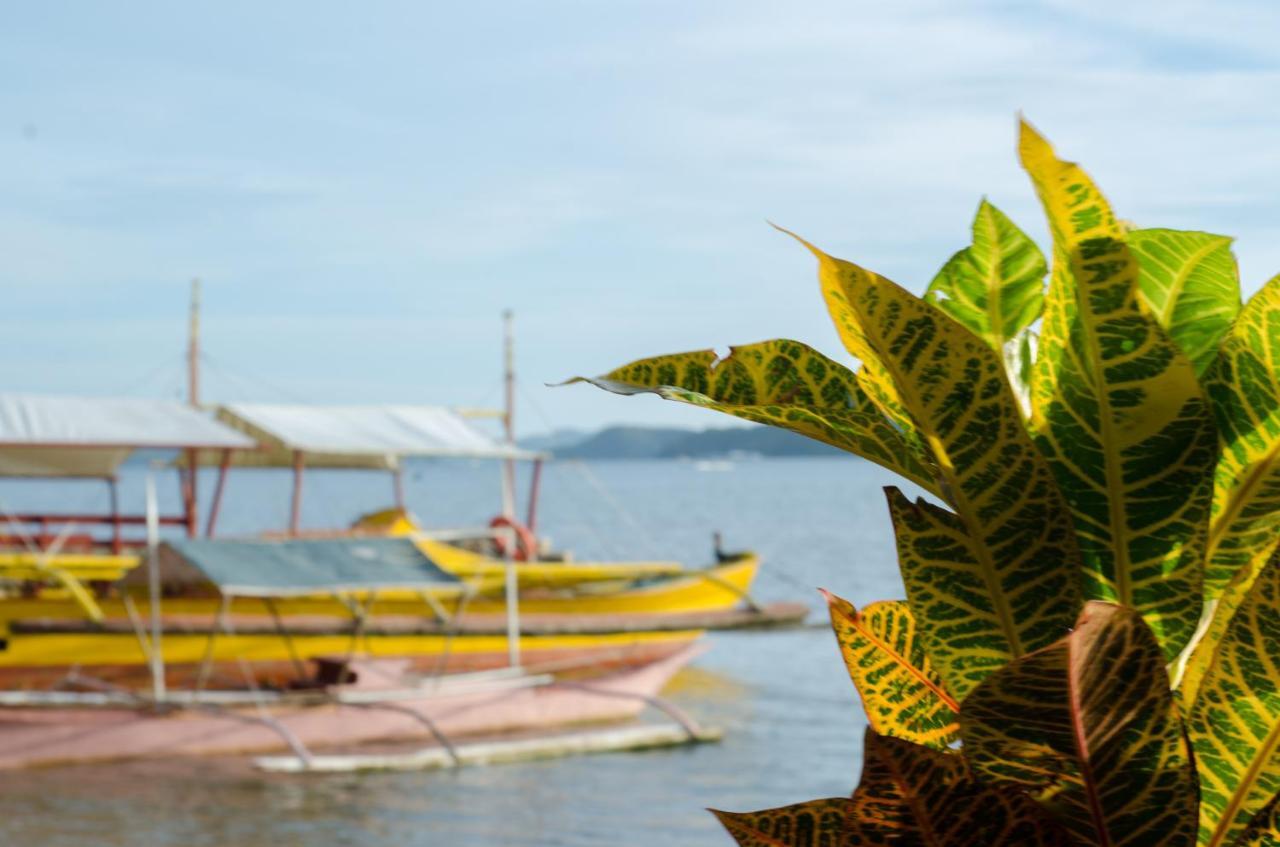 Concepcion Divers Lodge Busuanga Esterno foto